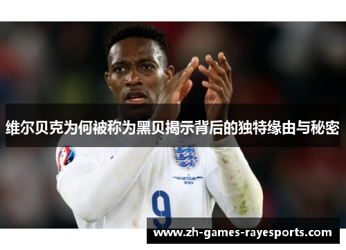 维尔贝克为何被称为黑贝揭示背后的独特缘由与秘密