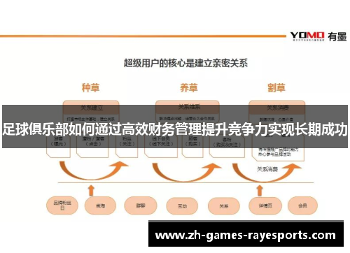 足球俱乐部如何通过高效财务管理提升竞争力实现长期成功